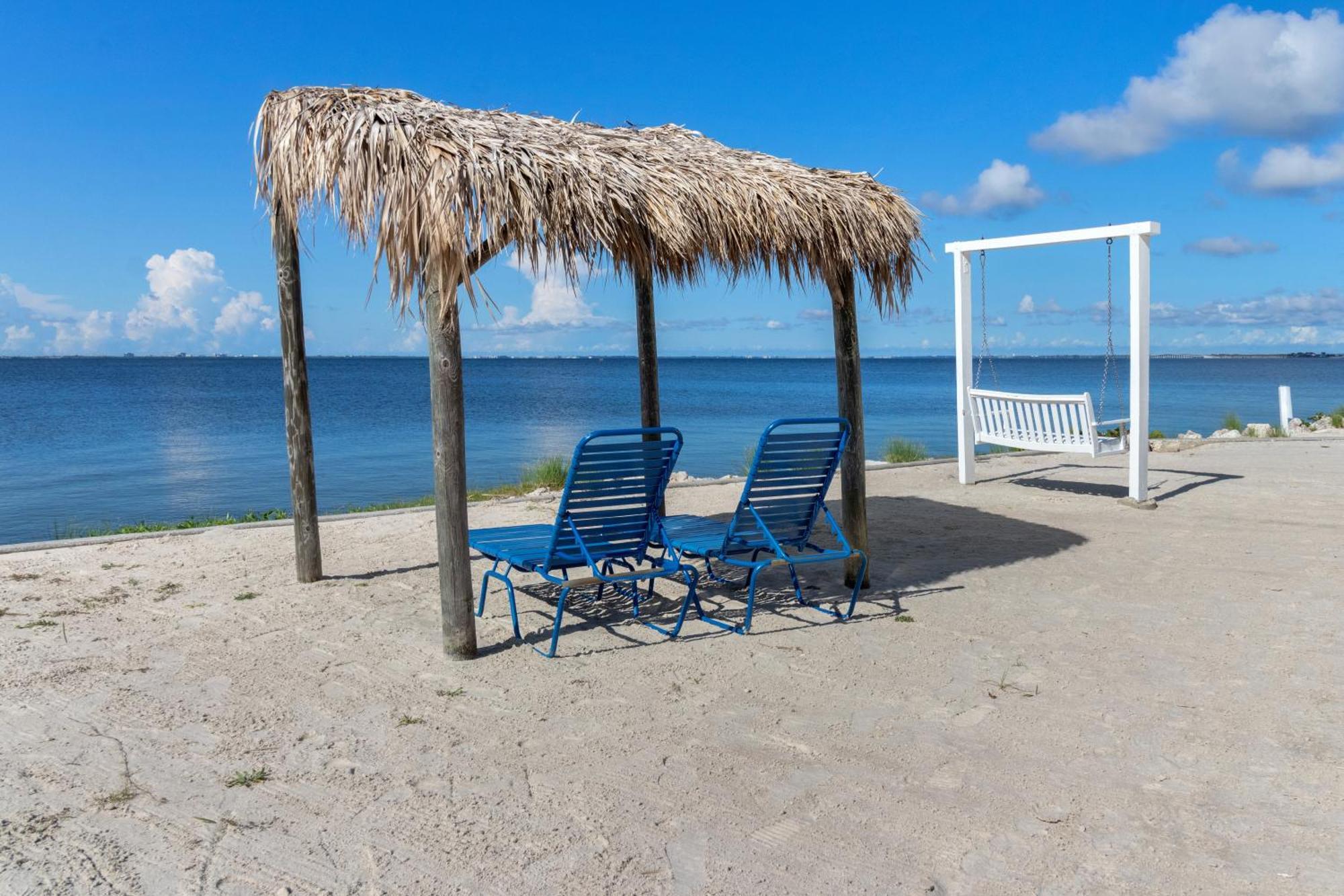 227-Wifi, New Paint, Amazing Views, Close To Bucs Stadium Τάμπα Εξωτερικό φωτογραφία